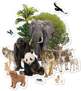 生物多様性のイメージ。パンダ、トラ、羊、オオカミ、うさぎ、蝶、象、ワシ、シカ、ゴリラ、ヒヨコ、犬、クモ